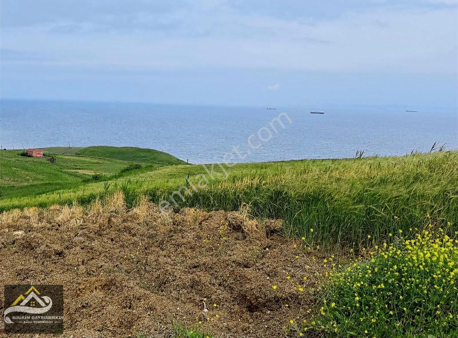 Birikim Gayrimenkulden Deniz Manzaralı 500m2 İmarlı İfrazlı Arsa - Görsel 4