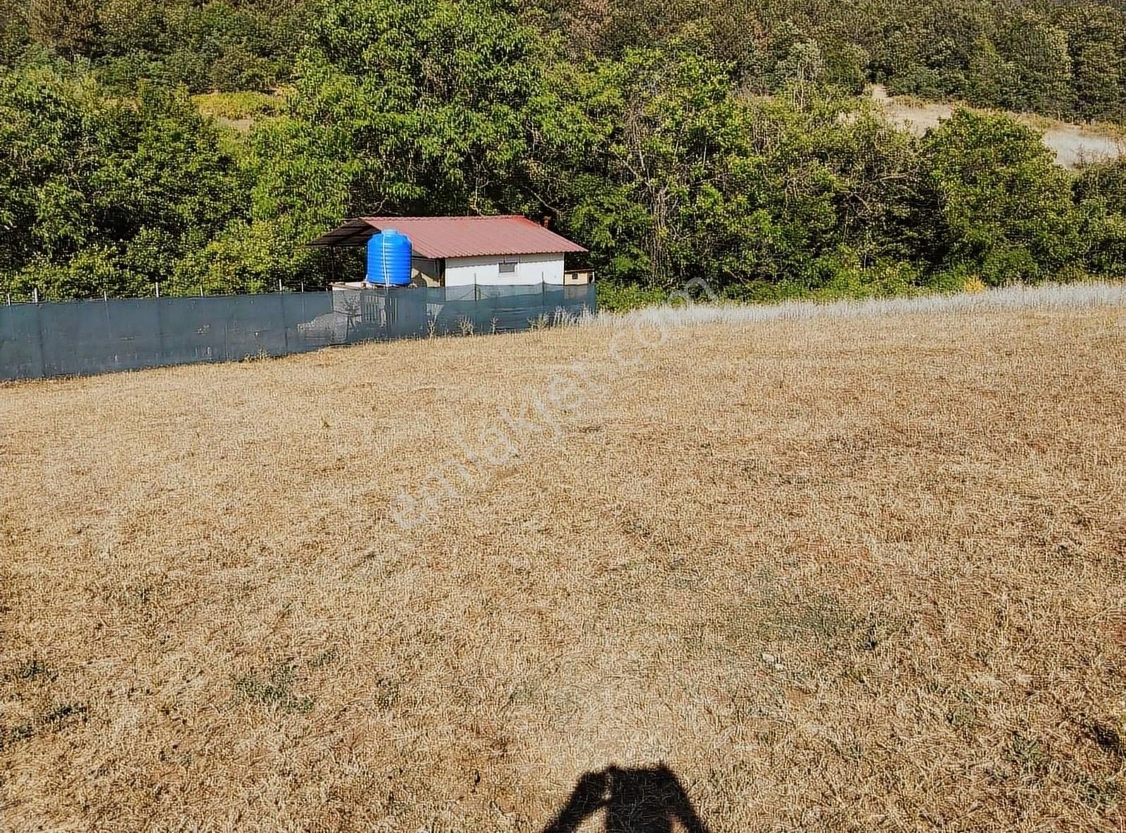 Kestel Ümitalanda Yaz Hobi Bahçesi