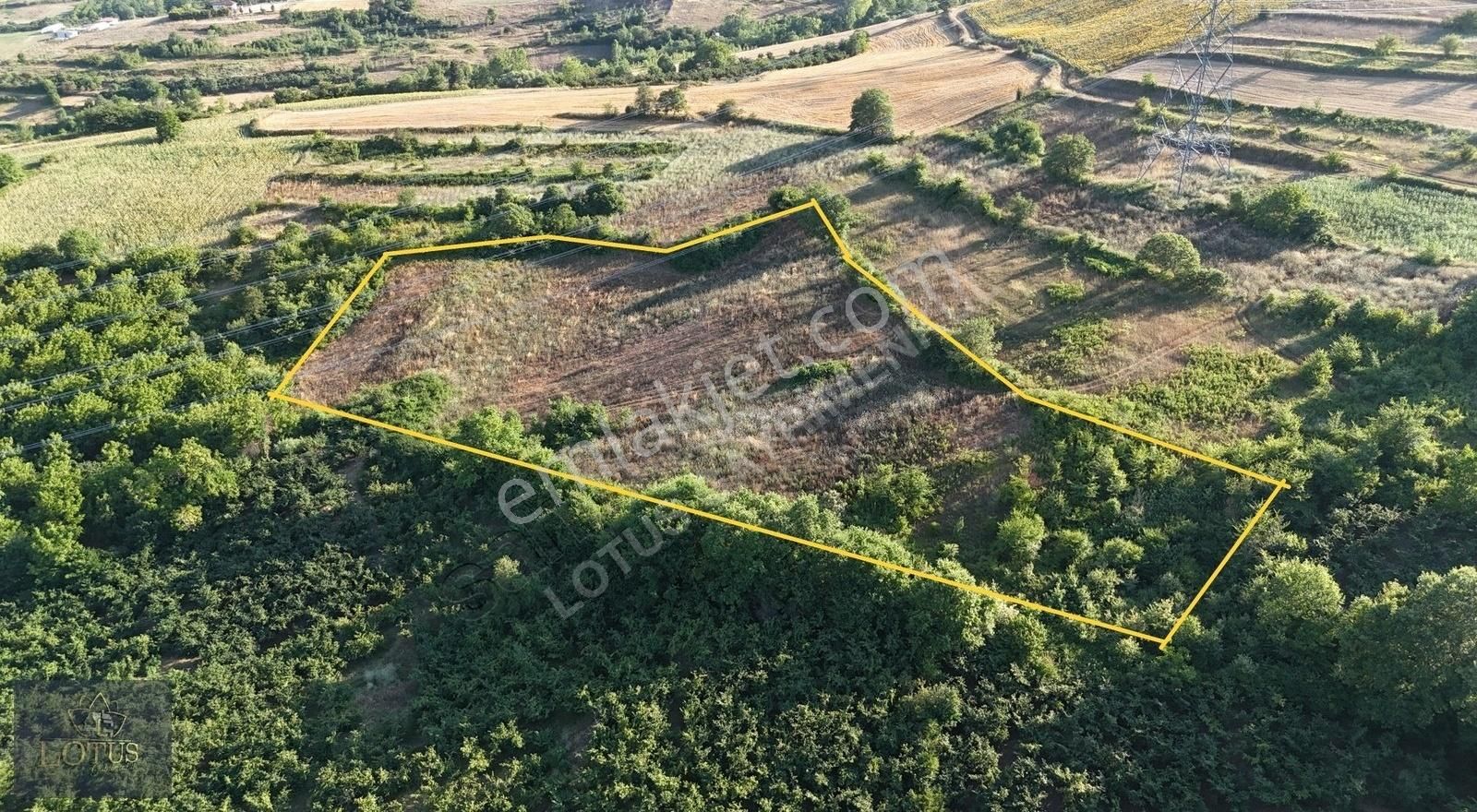Kupon!kandıra Topluca Köyü 16.160m2 Köyiçi İmara 3 Parsel