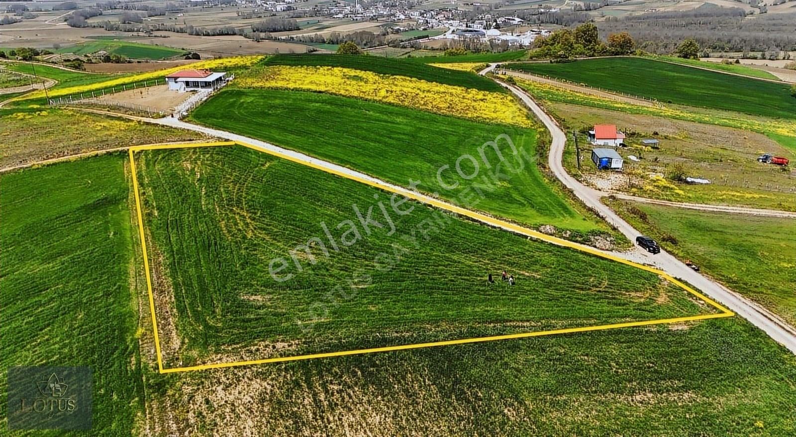 Kupon!derince Kaşıkçı Kadastro Yollu 3280m2 %5 İmarlı Parsel