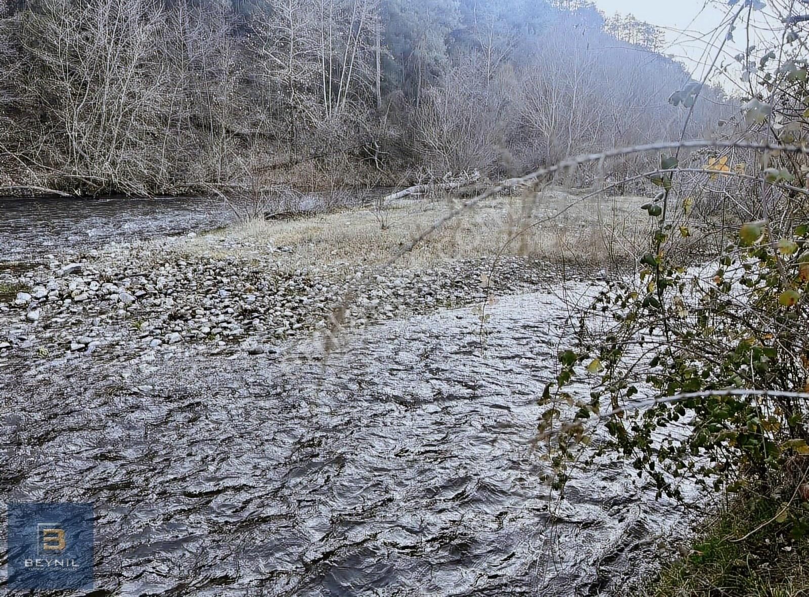 Beynil'den Kocasu Yanı Mükemmel Tarla