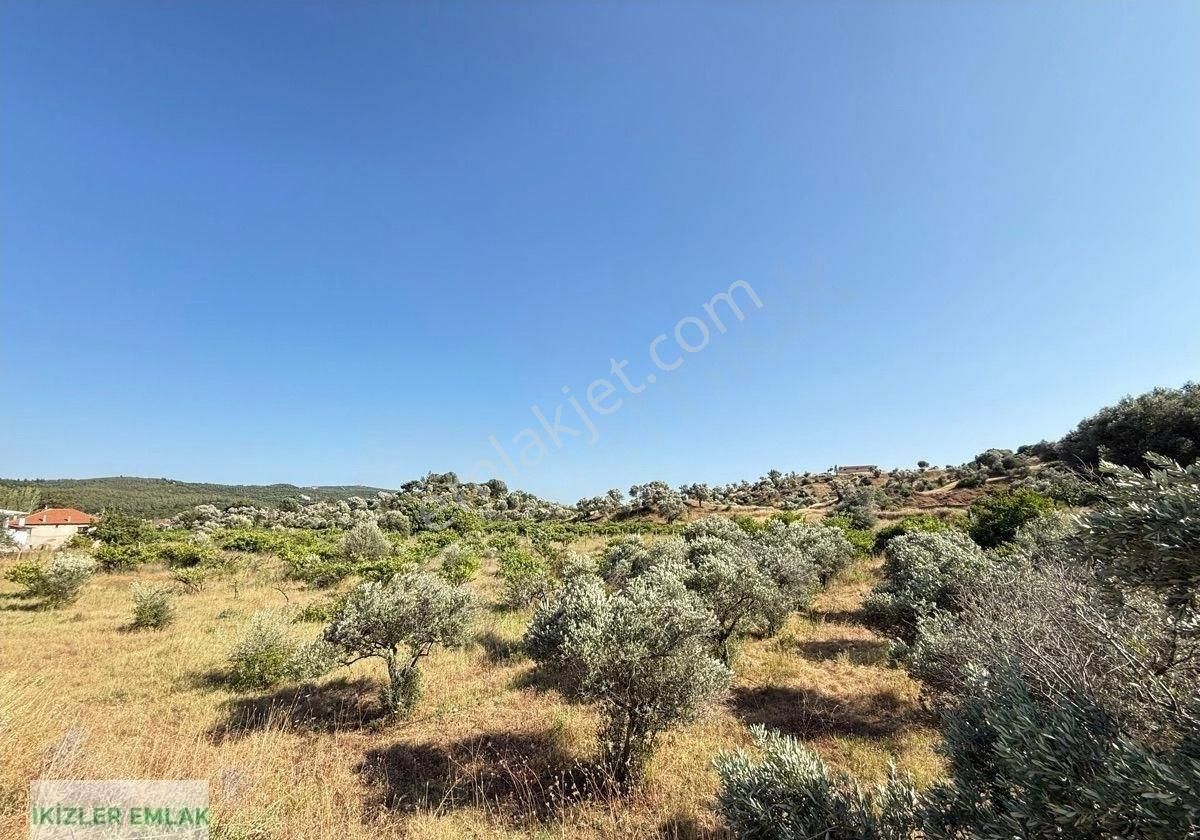 Seferihisar Kavakdere’de Satılık Tek Tapu 2660 Metre² Arsa