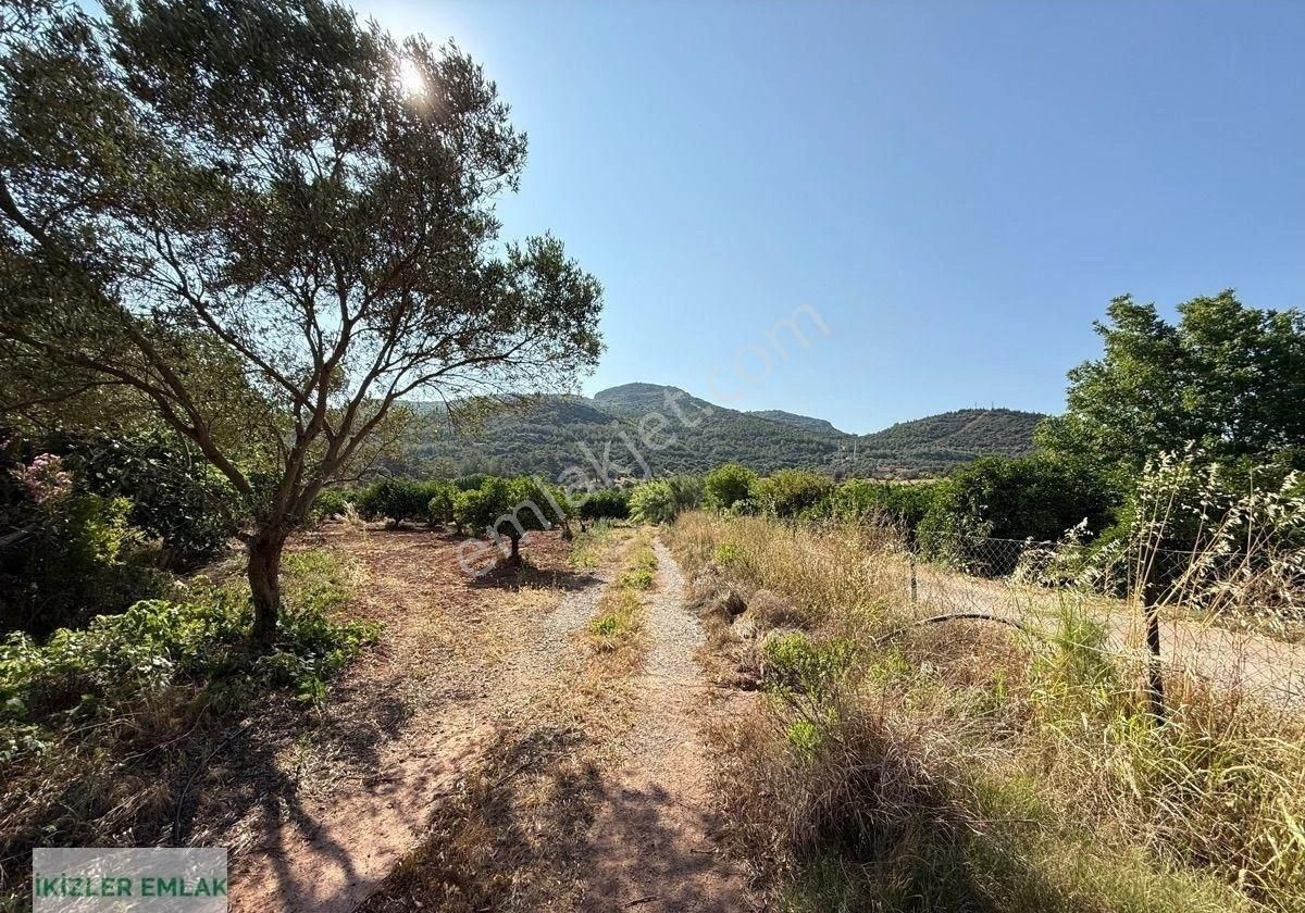 Seferihisar Kavakdere’de Satılık Tek Tapu 2660 Metre² Arsa - Görsel 9