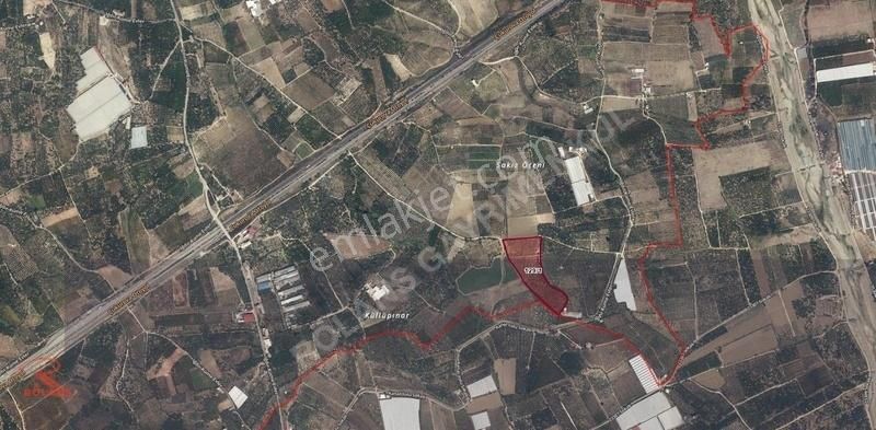 Satılık 28.700 M2 Krediye Uygun Yetişkin Narenciye Bahçesi - Görsel 12