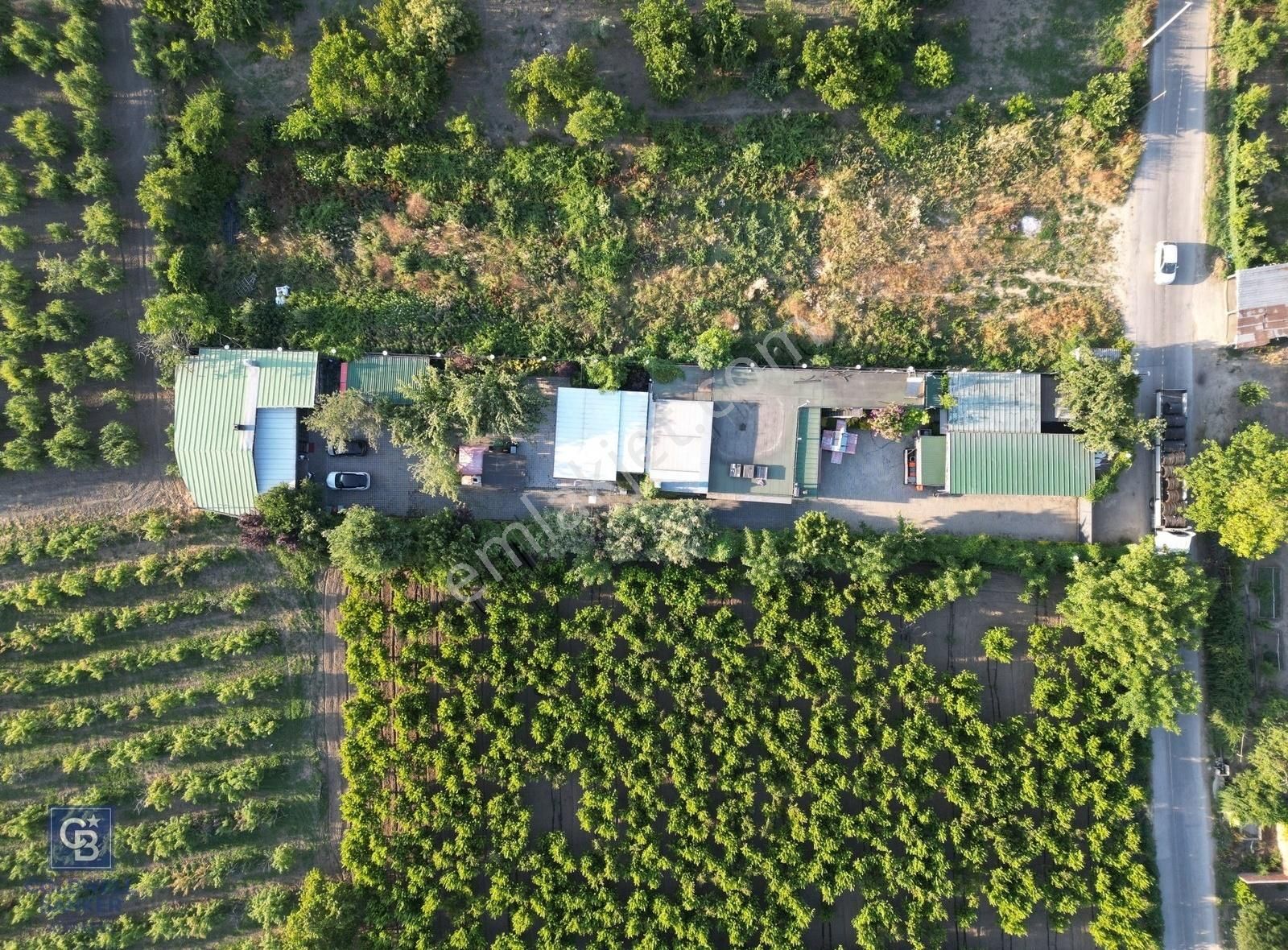 Bursa, Osmangazi Çukurca'da Satılık Muhteşem Bir Çiftlik