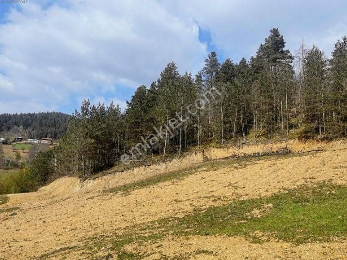 İznik Elmalı Mahallesinde Konut İmarlı Arsa - Görsel 5