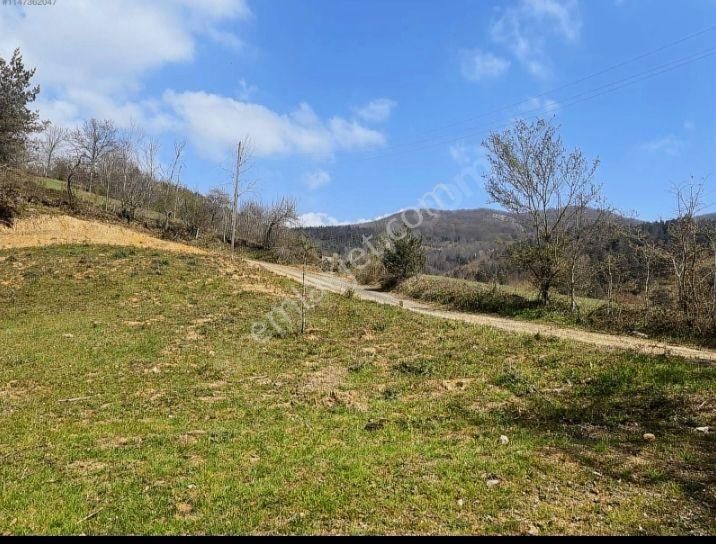 İznik Elmalı Mahallesinde Konut İmarlı Arsa - Görsel 6