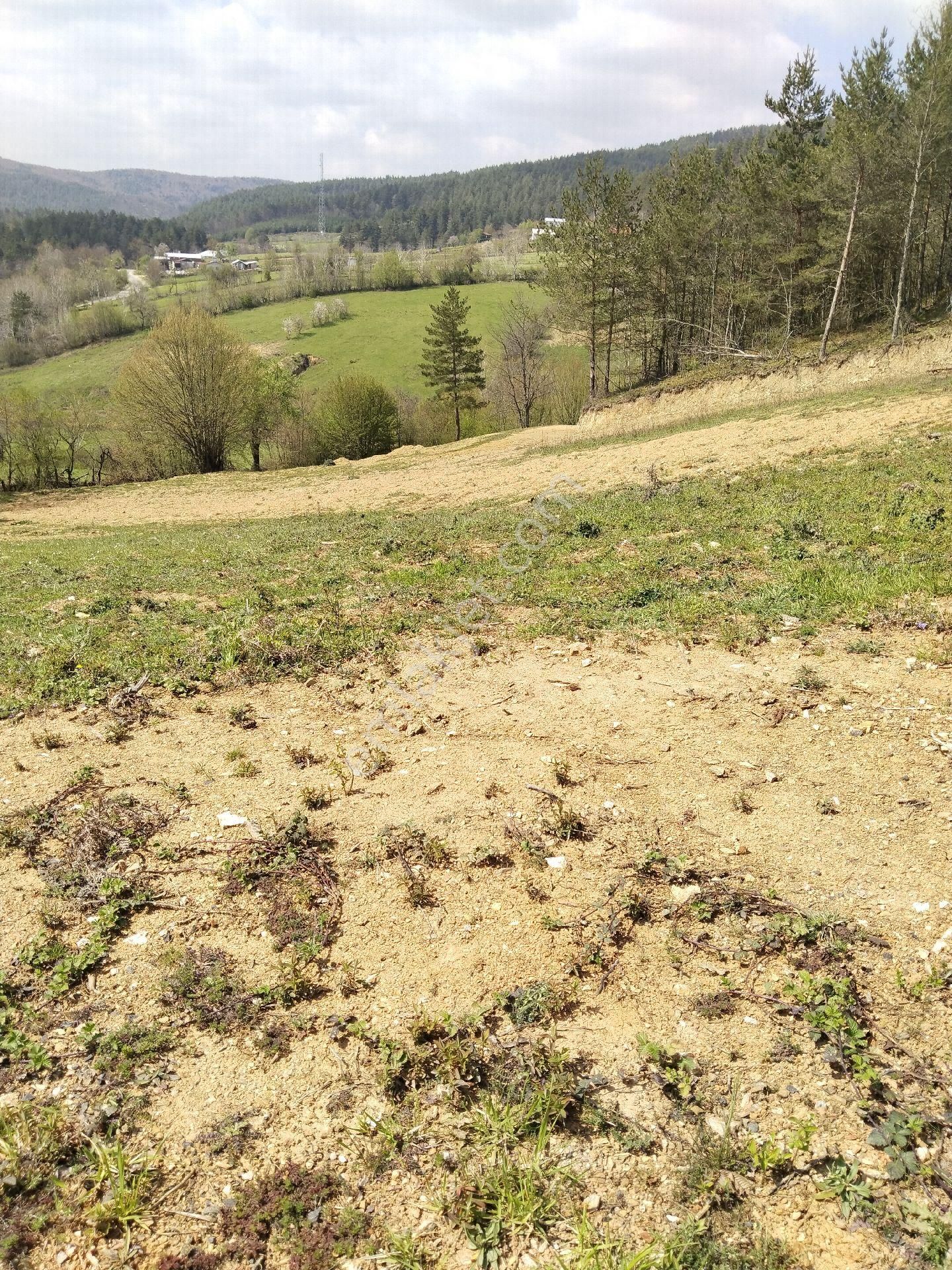 İznik Elmalı Mahallesinde Konut İmarlı Arsa - Görsel 3