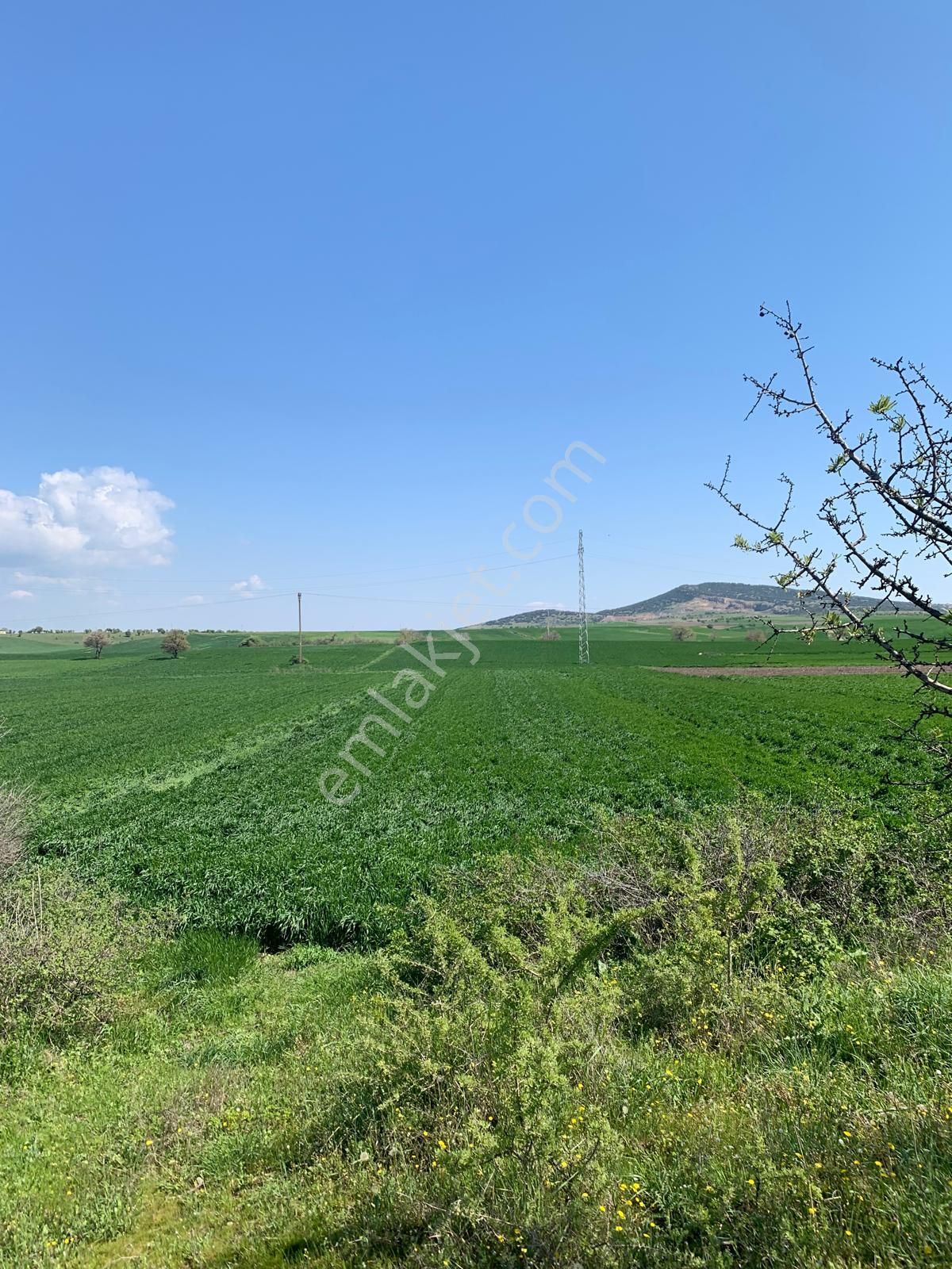 8-9 Dükkanlık Sanayi İmarlı Arsa Edirne Enez | Cami Yanı, Hastane Karşısı