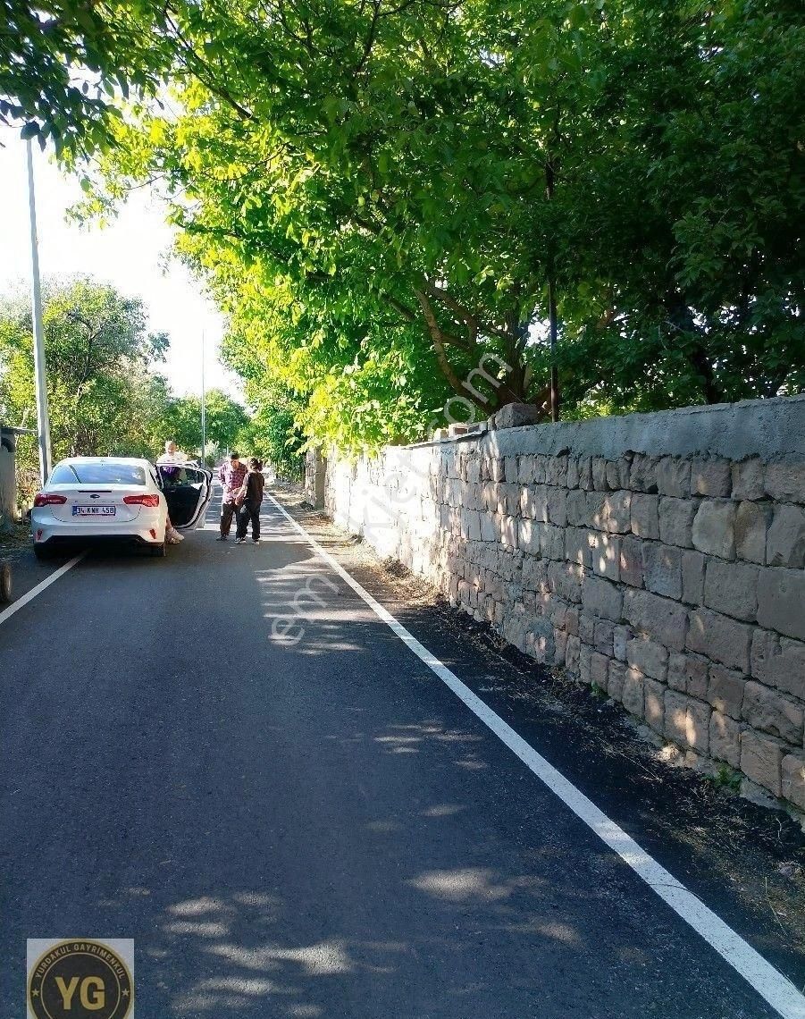 Büyükbürüngüzde Bahce