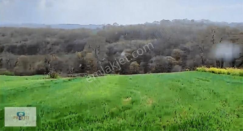 Kandıra Döngelli Köyünde 2690 Metrekare İki Cepheden Yol Mevcut. - Görsel 8