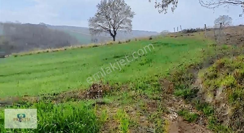 Kandıra Döngelli Köyünde 2690 Metrekare İki Cepheden Yol Mevcut. - Görsel 6