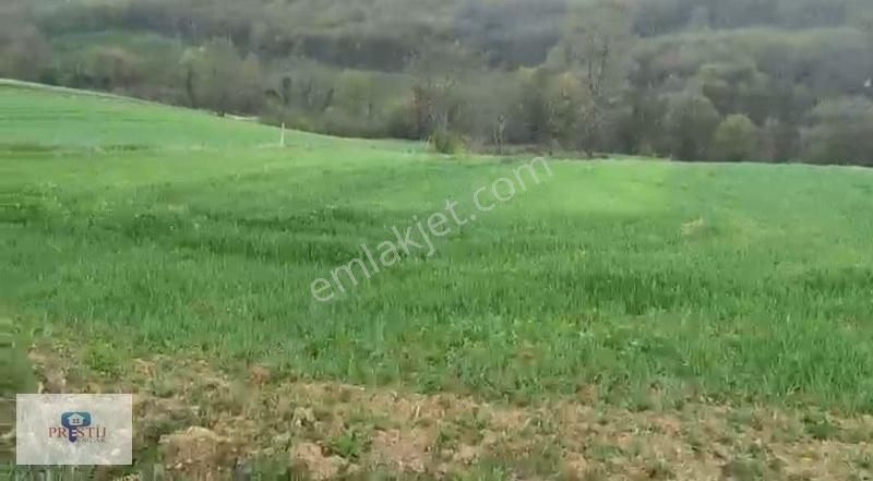 Kandıra Döngelli Köyünde 2690 Metrekare İki Cepheden Yol Mevcut. - Görsel 2