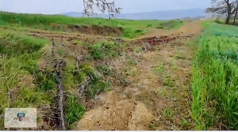 Kandıra Döngelli Köyünde 2690 Metrekare İki Cepheden Yol Mevcut. - Görsel 3