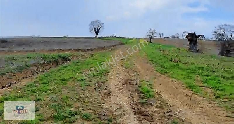 Kandıra Döngelli Köyünde 2690 Metrekare İki Cepheden Yol Mevcut. - Görsel 4