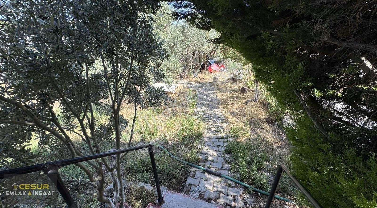 İzmir Dikili Salihler Köyünde Satılık Villa - Görsel 3