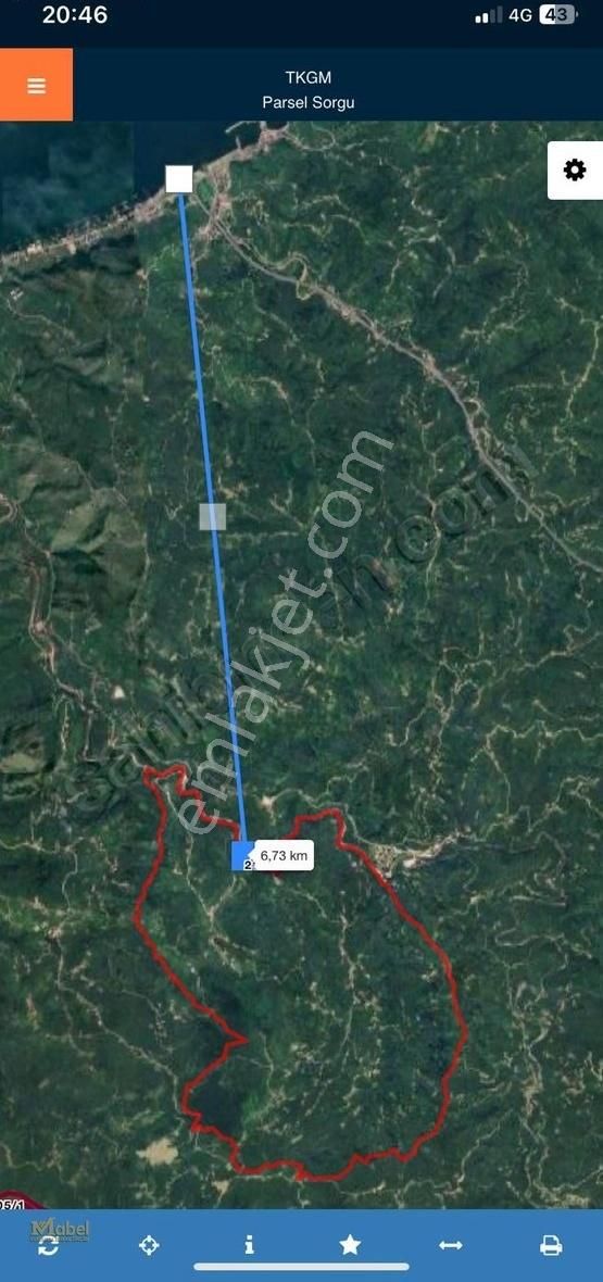 Fatsa - Ilıca Kayaköy Mah. Yol Üzeri 18 Dönüm Acil Satılık Arazi - Görsel 3