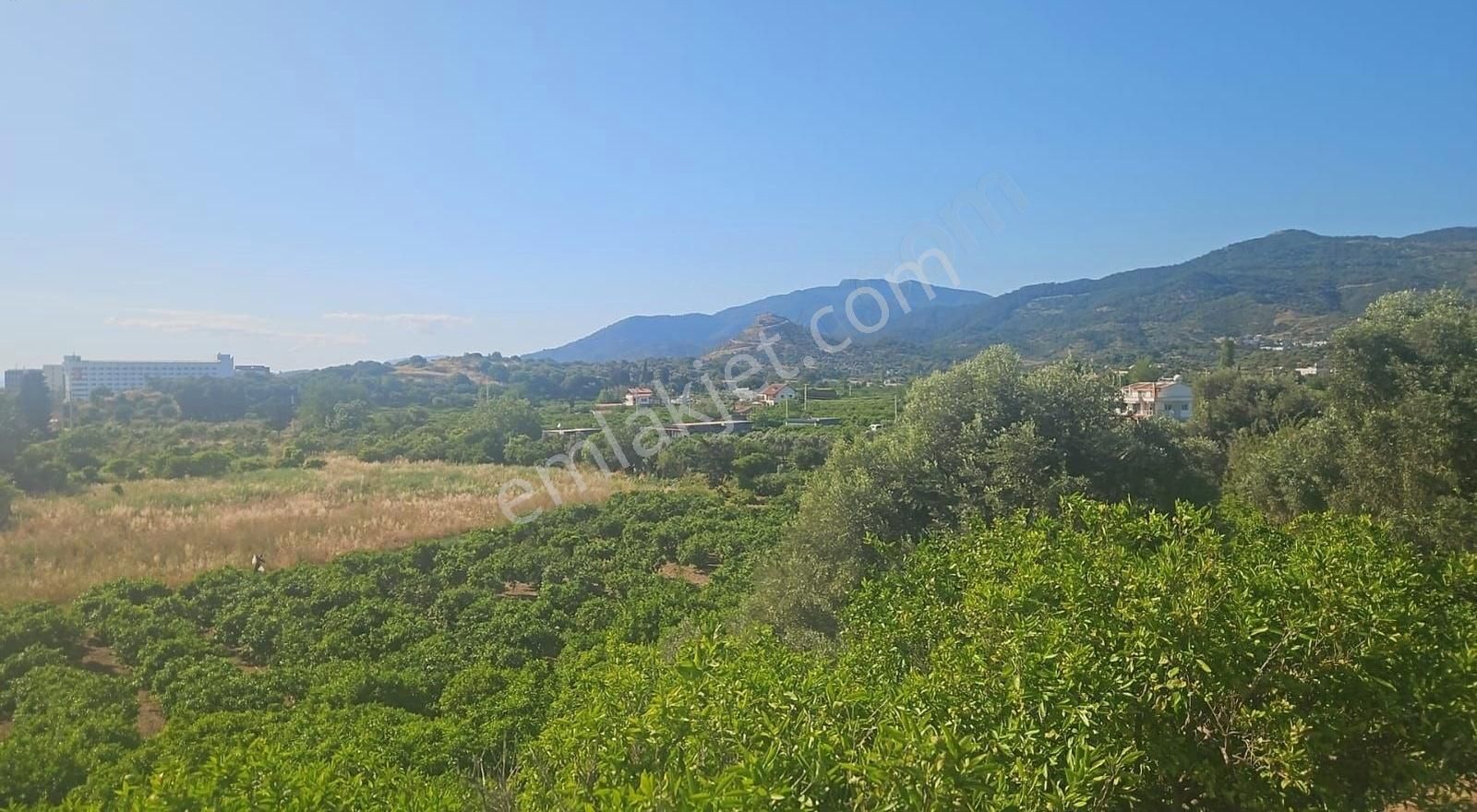 İzmir Menderes Özdere'de Yatırımlık Tarla - Görsel 2