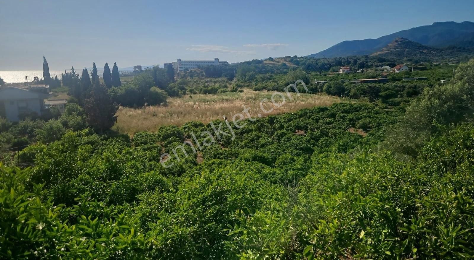 İzmir Menderes Özdere'de Yatırımlık Tarla - Görsel 3