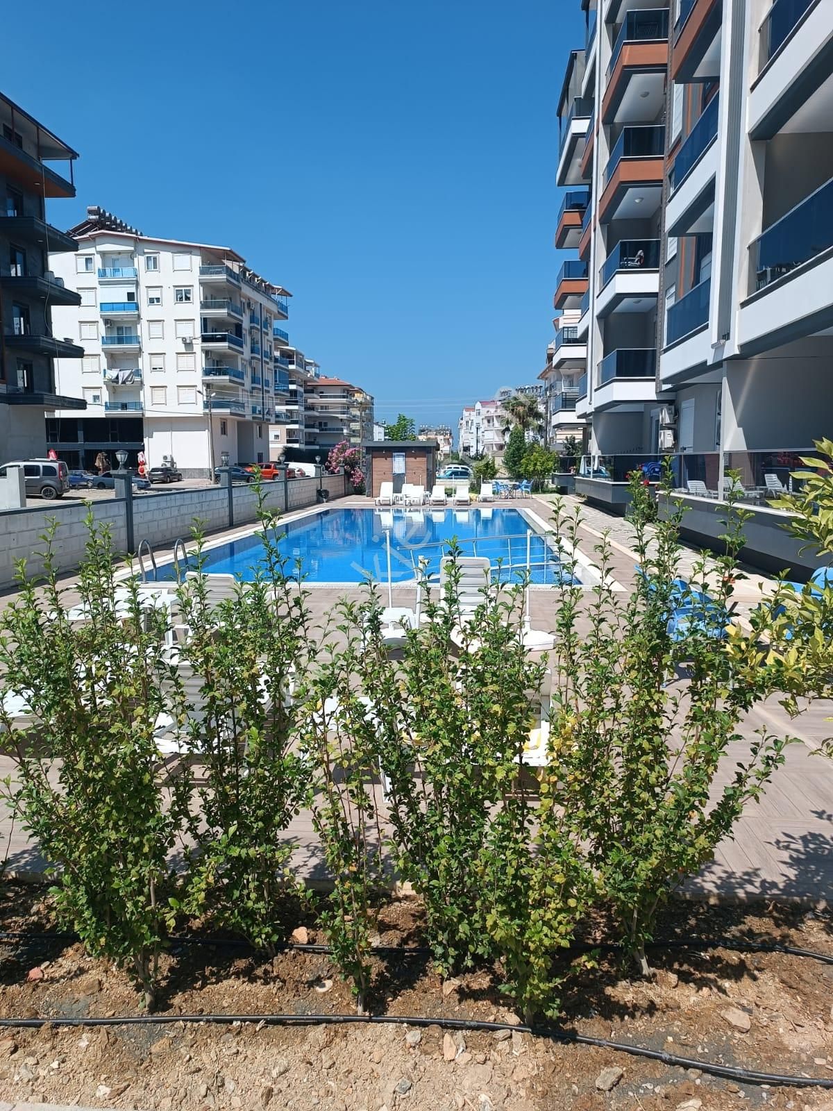 Denize Ve Merkeze Yakın Kiralık Şıfır Eşyalı Havuzlu Daire