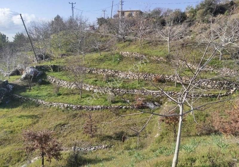 Alanya Mahmutseydi Yol Kenarı 524 M2 Satılık Tarla - Görsel 4