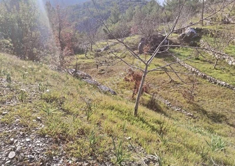 Alanya Mahmutseydi Yol Kenarı 524 M2 Satılık Tarla - Görsel 6