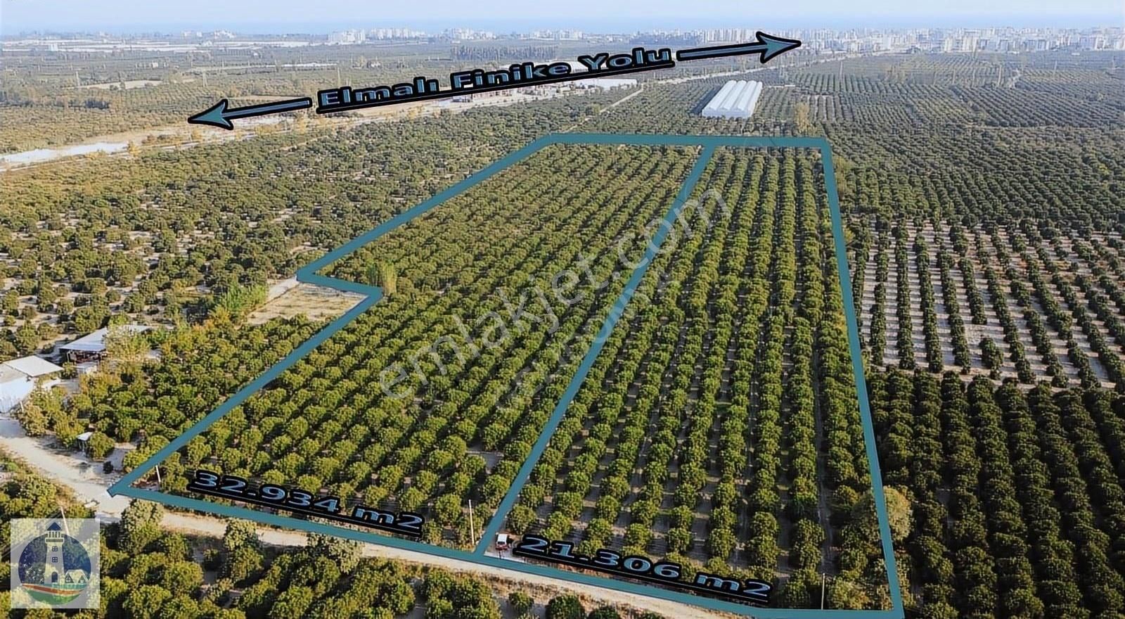 Finike Elmalı Yolu Üzerinde Birleşik 2 Parsel Portakal Bahçesi
