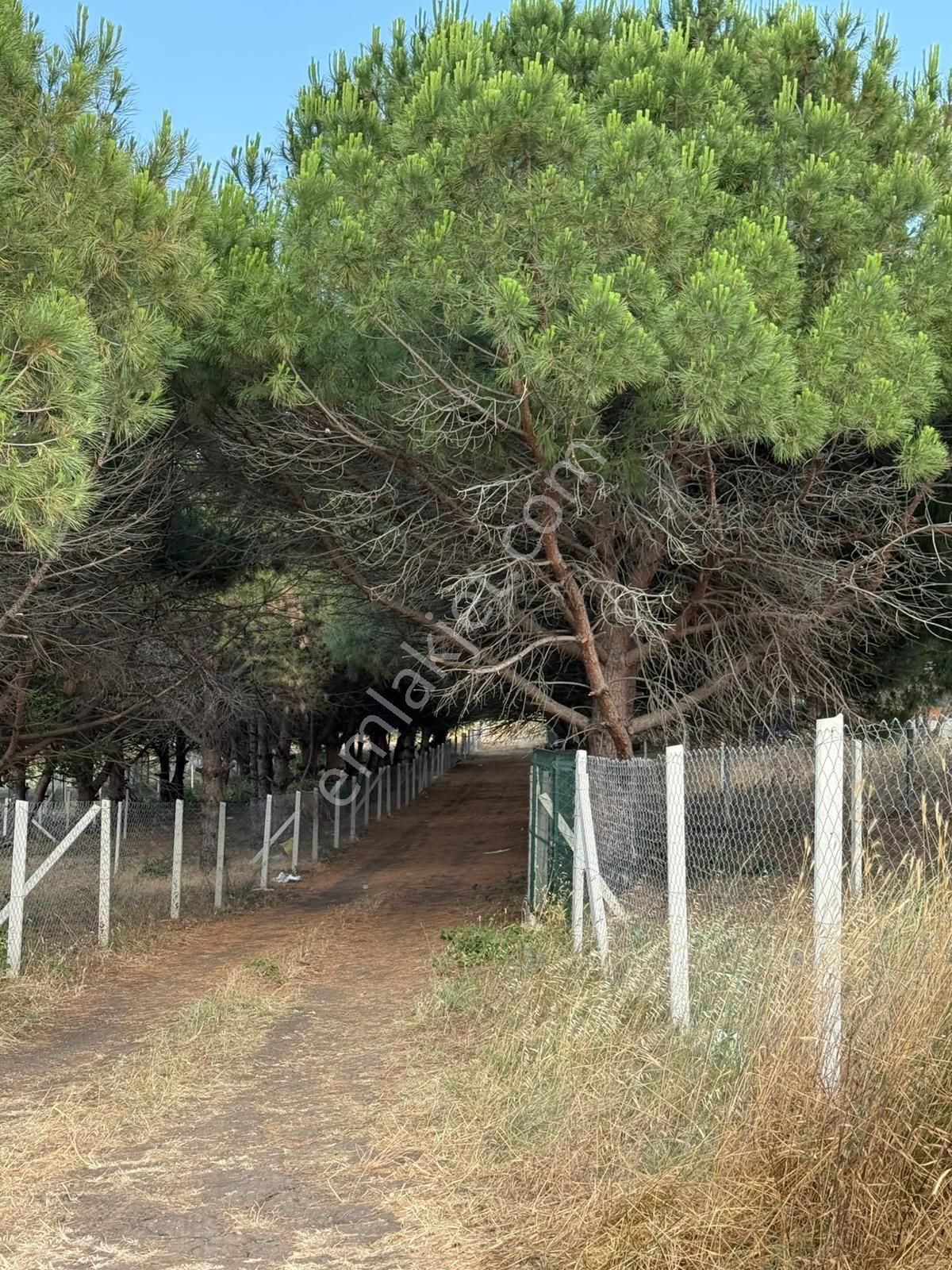 Etrafı Çevrili, Hazır Tapulu Kullanıma Hazır Arsalar