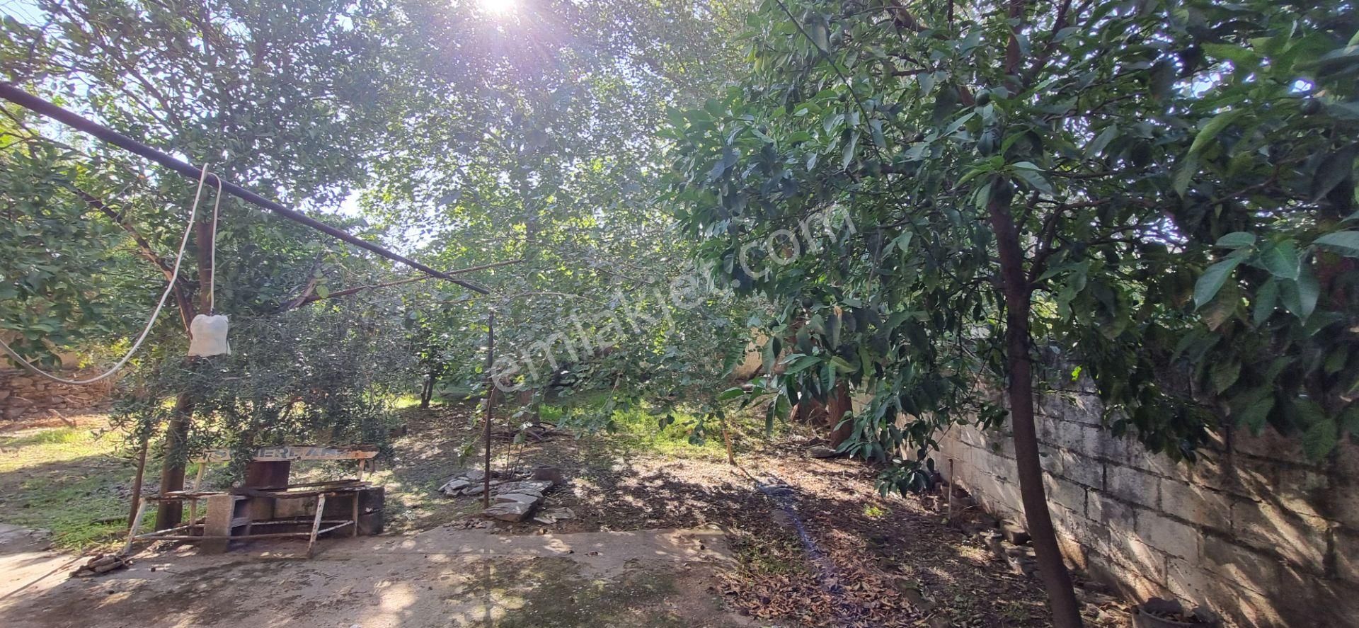 Aydın Nazilli Yöntem Emlaktan Yenipazar Donduran Mahallesinde Satılık Bahçeli Müstakil Ev - Görsel 7