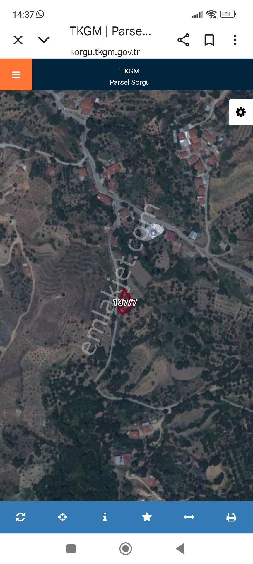 Nazilli Aşağı Yakacıkta Satılık Köy İçi Kiraz Bahçesi