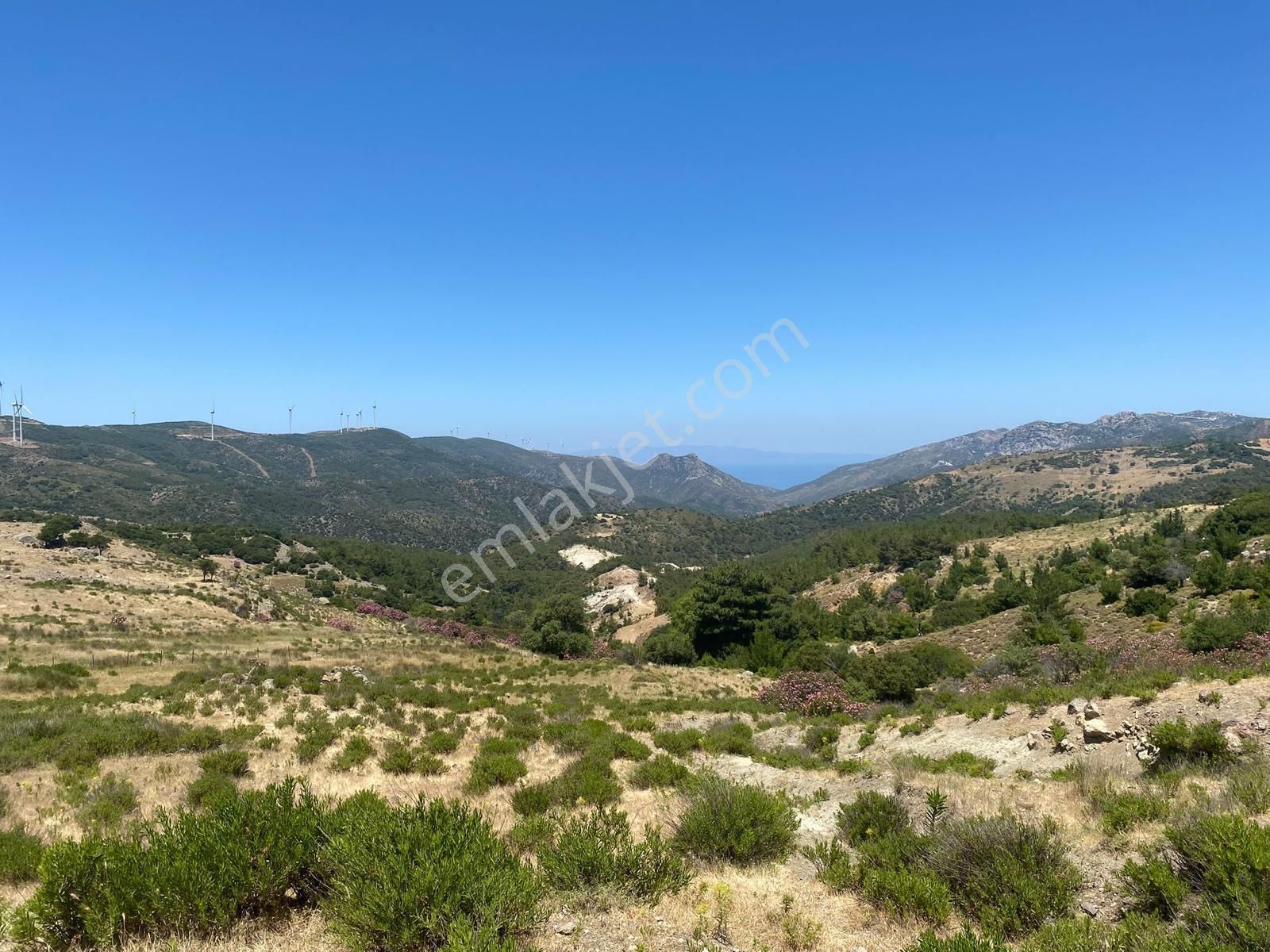 Karaburun Yaylaköyde Satılık Elektrik Ve Su Olan Fırsat Arazi - Görsel 21