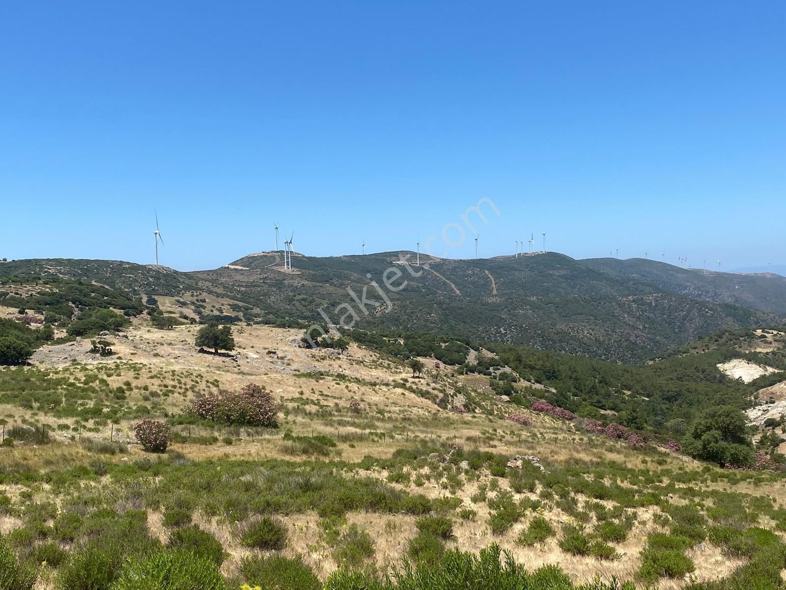 Karaburun Yaylaköyde Satılık Elektrik Ve Su Olan Fırsat Arazi - Görsel 25