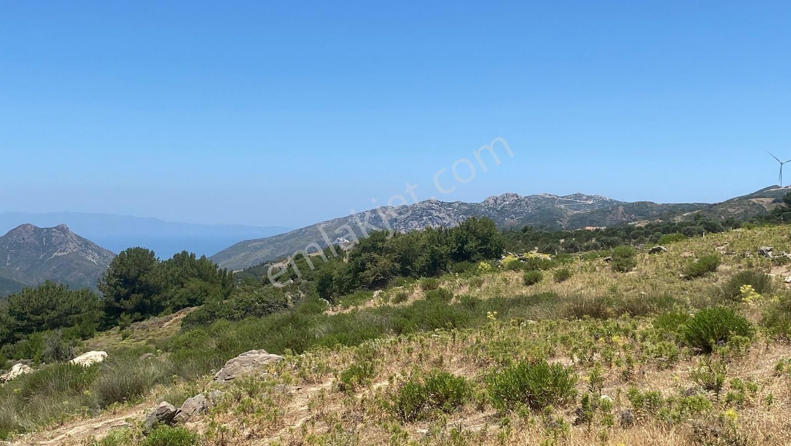 Karaburun Yaylaköyde Satılık Elektrik Ve Su Olan Fırsat Arazi - Görsel 19