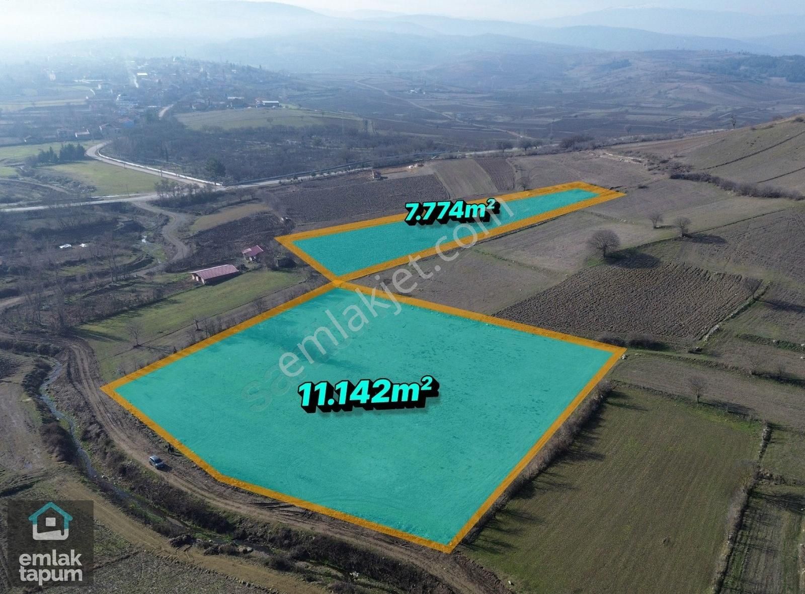 Samsun Vezirköprü'de Fırsat Değerinde Satılık Tarlalar