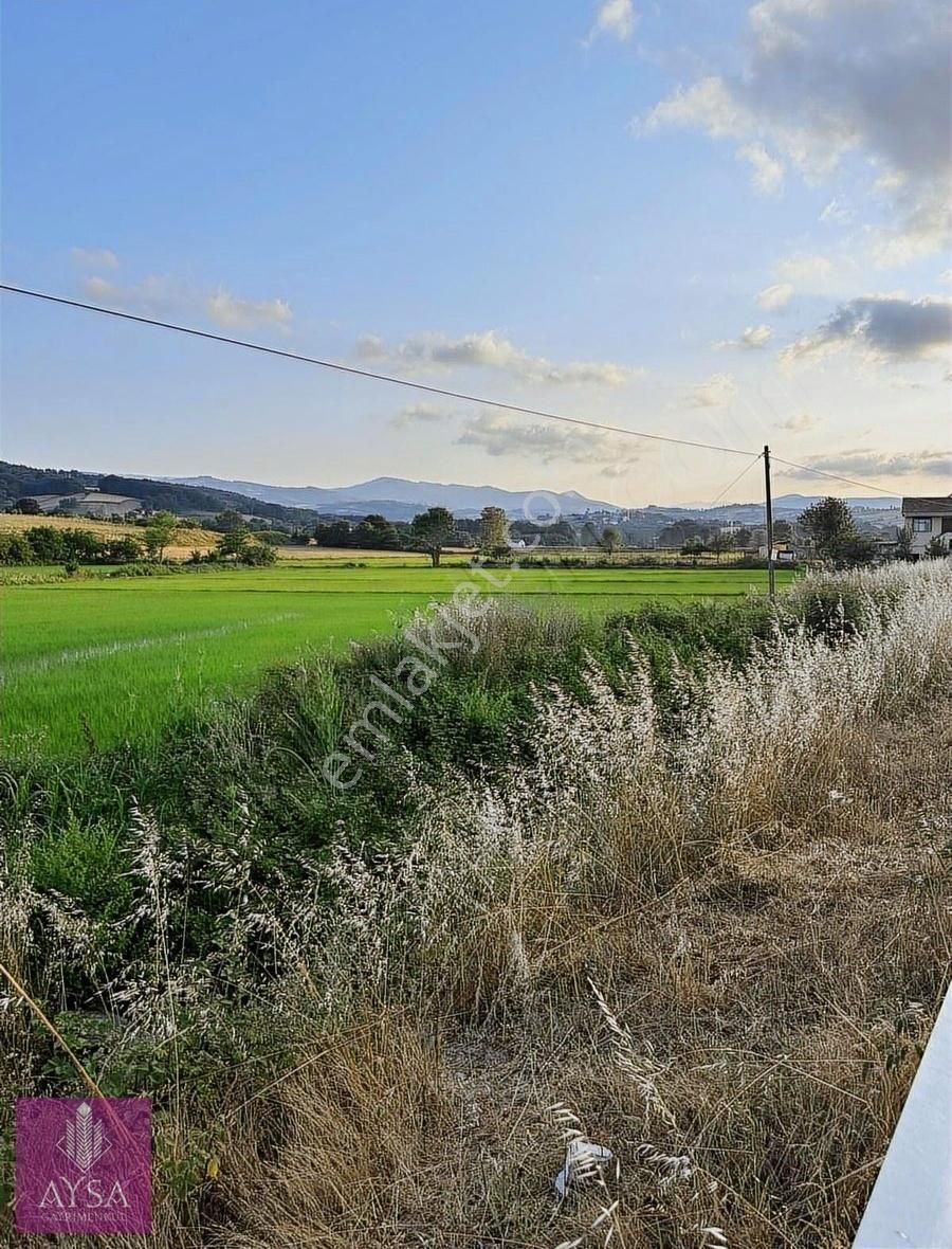 Alaçam Sinop Yola Cephe