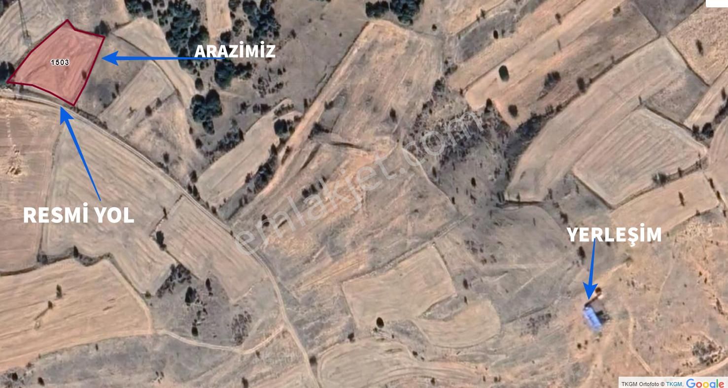Afyon Dazkırı 2.470 M2 İlçe Merkezine Yakın Yola Cephe Düz Arazi