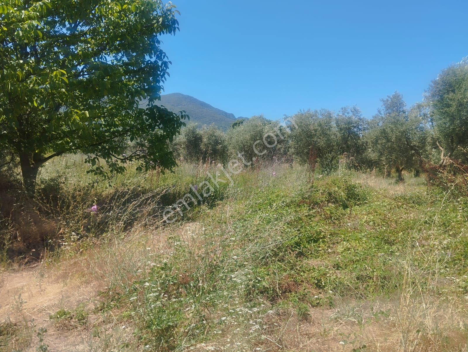 Beka Gayrimenkul'den Gemiç Köyünde Asfalta Yakın 627 M² Tarla - Görsel 3