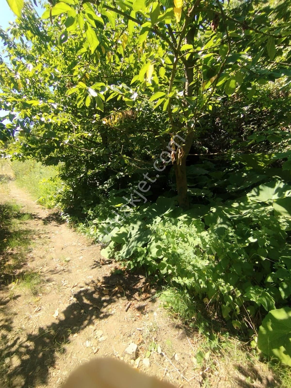 Beka Gayrimenkul'den Gemiç Köyünde Asfalta Yakın 627 M² Tarla - Görsel 11