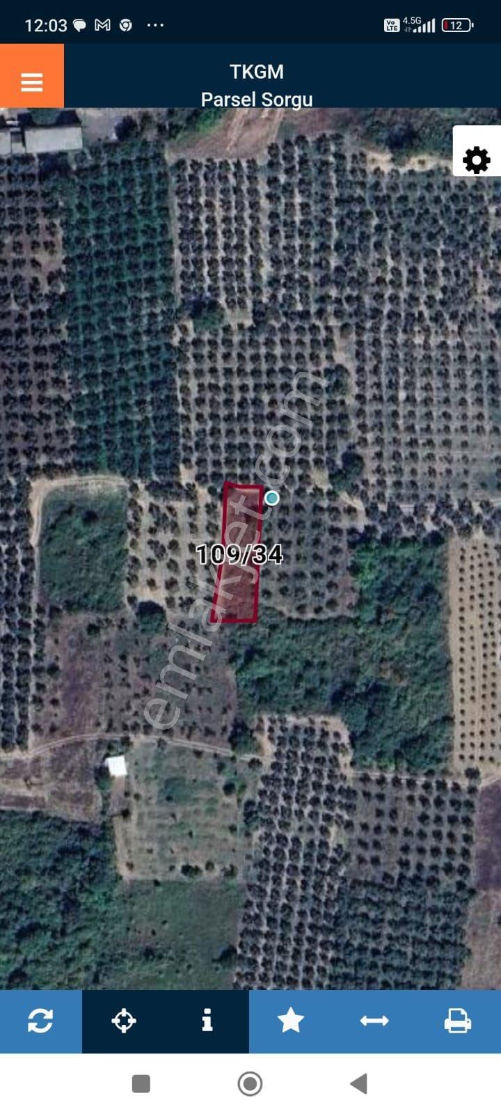 Beka Gayrimenkul'den Gemiç Köyünde Asfalta Yakın 627 M² Tarla