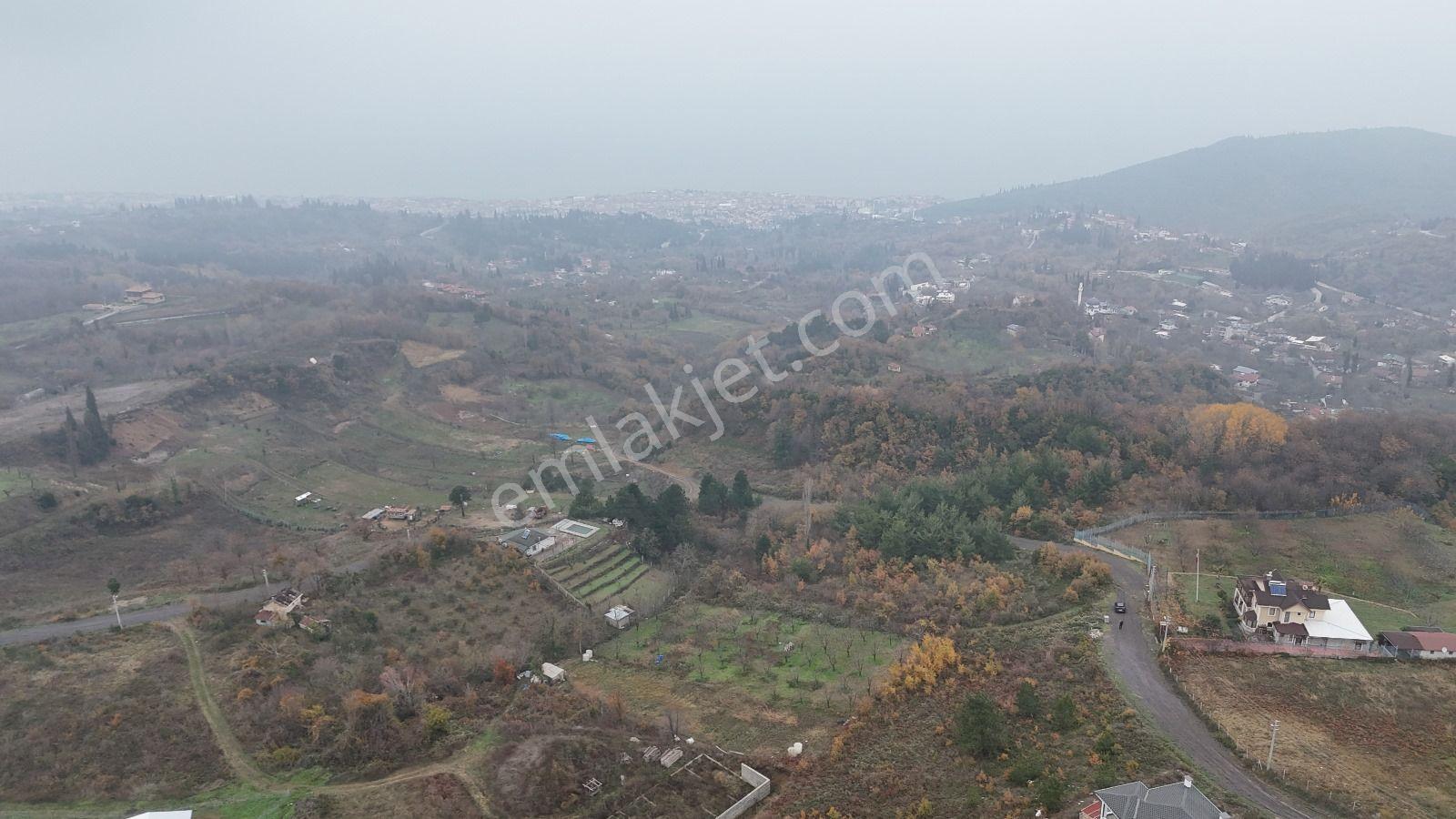 Kocaeli Karamürsel Pazarköy 5090 M2 Satılık Bahçe - Görsel 3