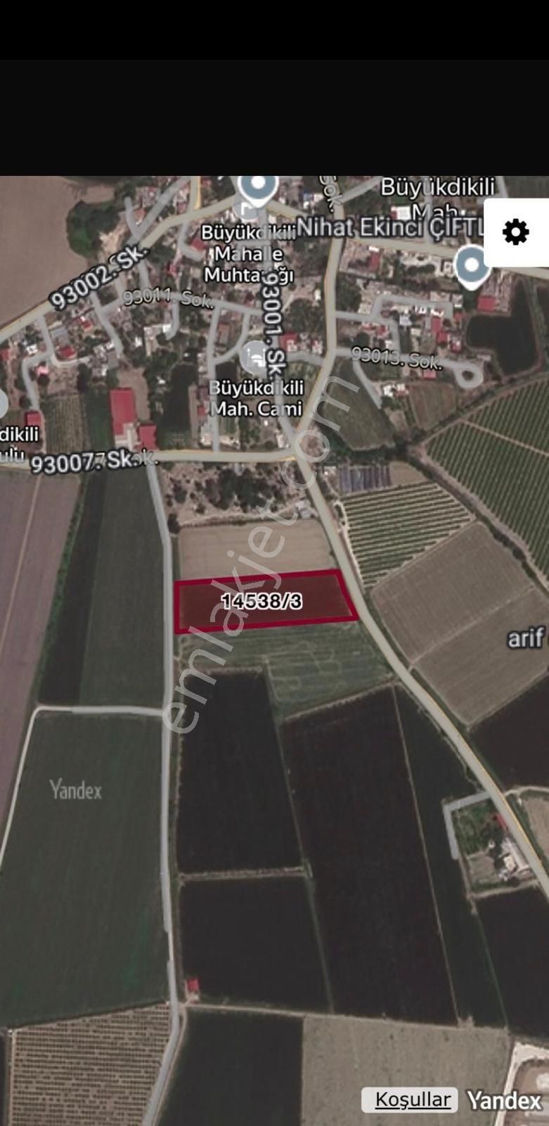 Adana Seyha Bbüyüdikilide Tek Tapu Tarla