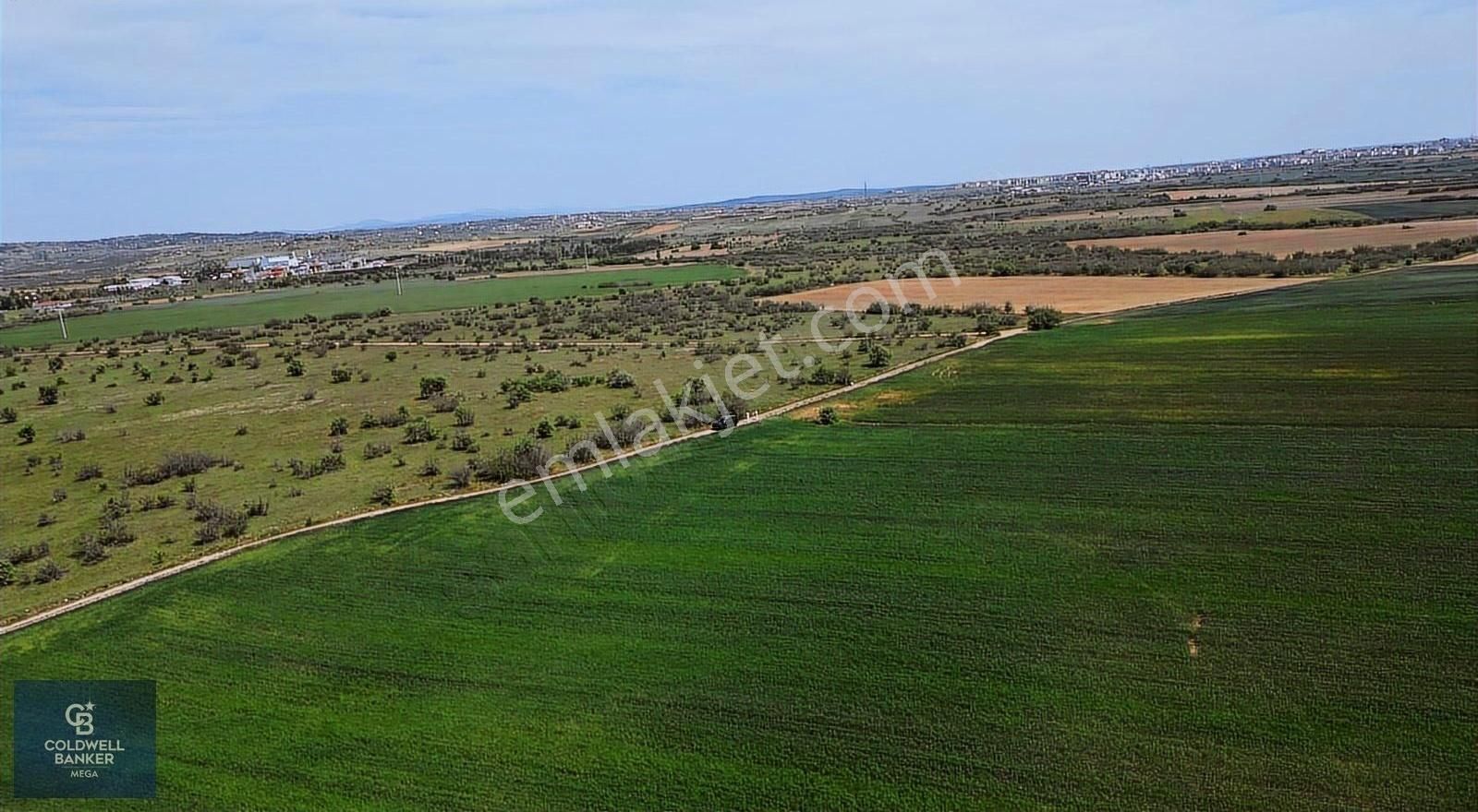 Kırklareli Eriklice Satılık 13000m² Merkeze Yakın Tarla