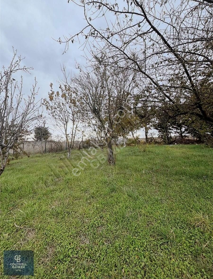 Toki Konutlarının Karşısında 608 M2 İmarlı Arsa - Görsel 10