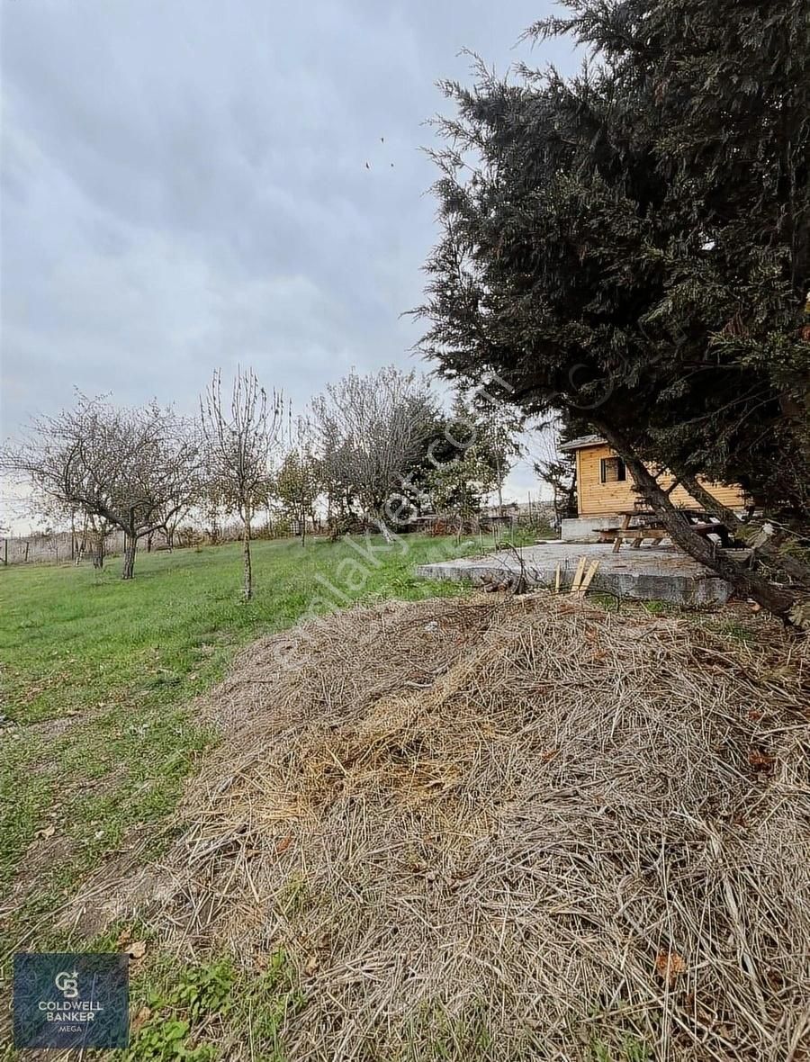 Toki Konutlarının Karşısında 608 M2 İmarlı Arsa - Görsel 3