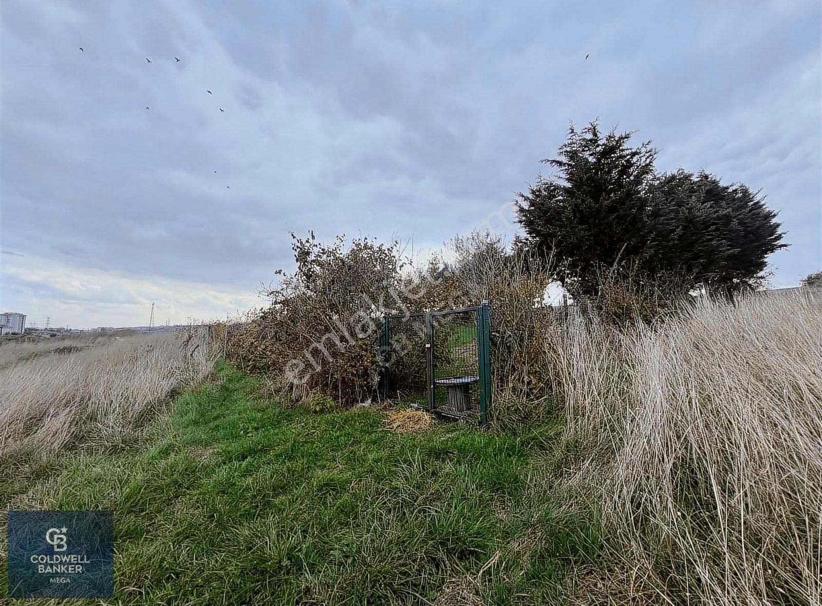 Toki Konutlarının Karşısında 608 M2 İmarlı Arsa - Görsel 8