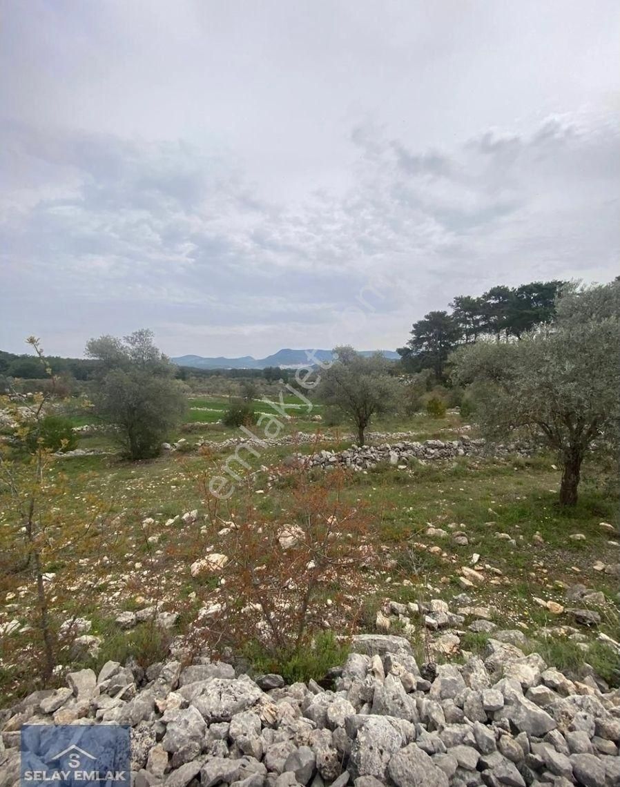 Muğla Milas Alaçam’da Satılık Tarla