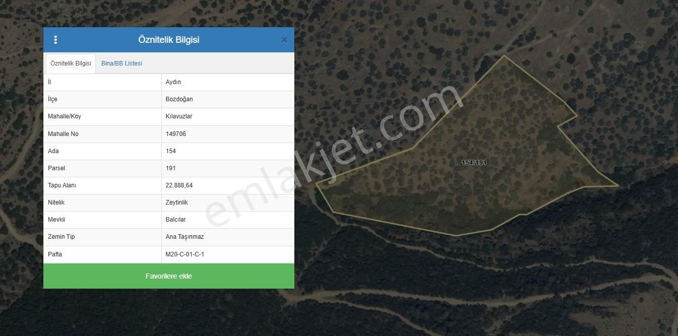 Yetişkin Verimli Zeytinlik 3,500 M2 - Görsel 15