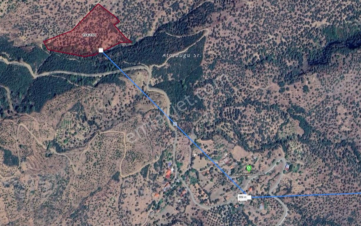 Yetişkin Verimli Zeytinlik 3,500 M2 - Görsel 3