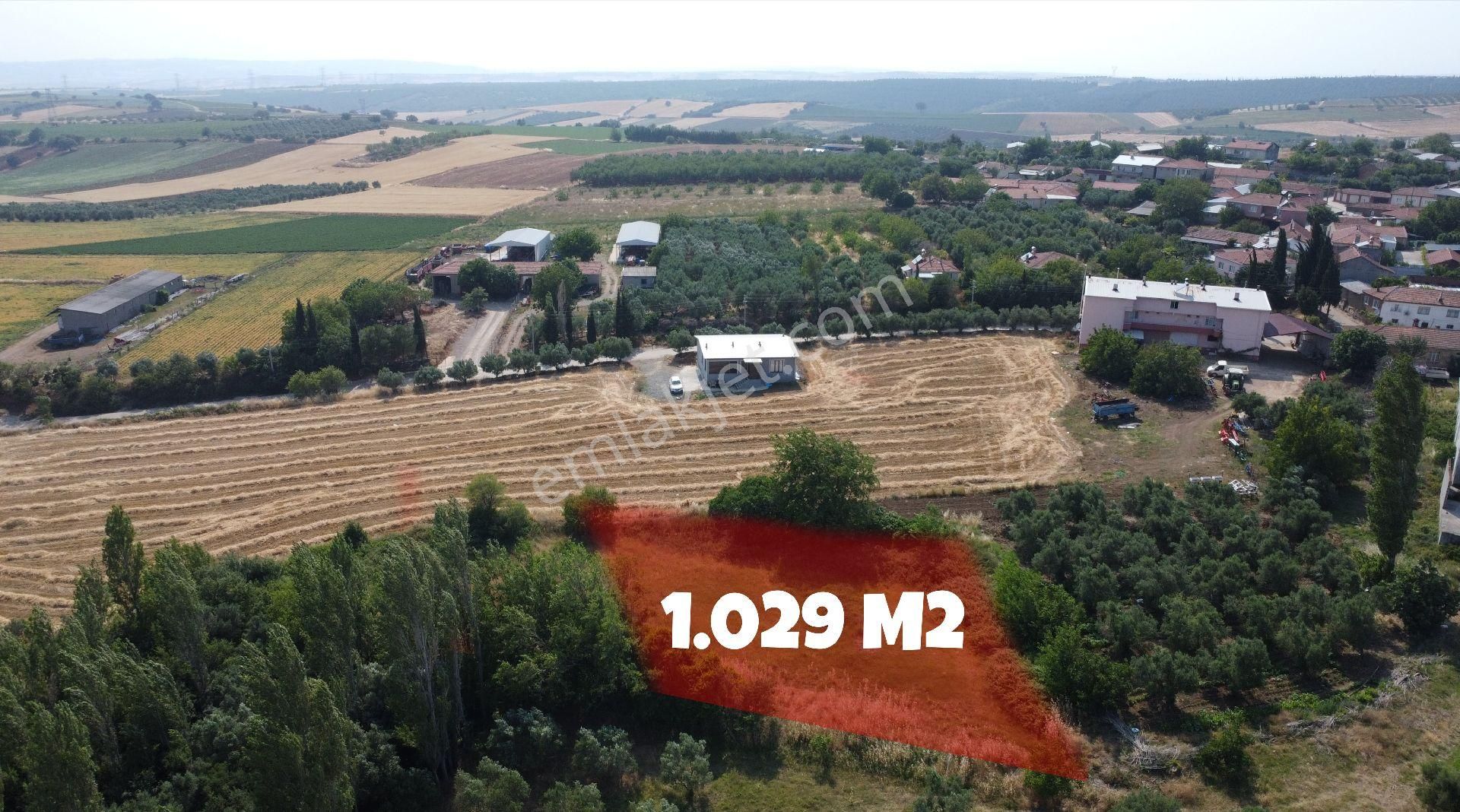 Bursa Karacabey Doğla Köyünde 1.029 M2 Köy İçi Hobi Bahçesi