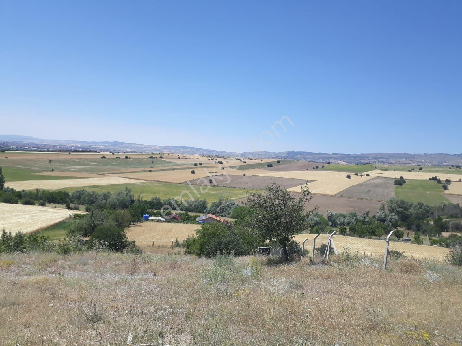 Tek Tapu Tarla+bağ